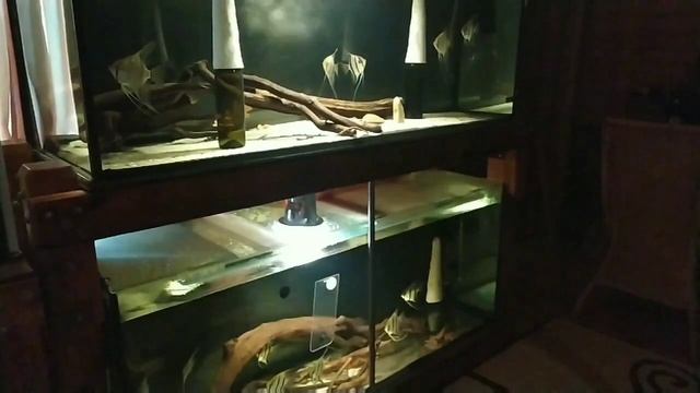 Как выбрать аквариумный обогреватель . А Вы знали ..? смотреть онлайн