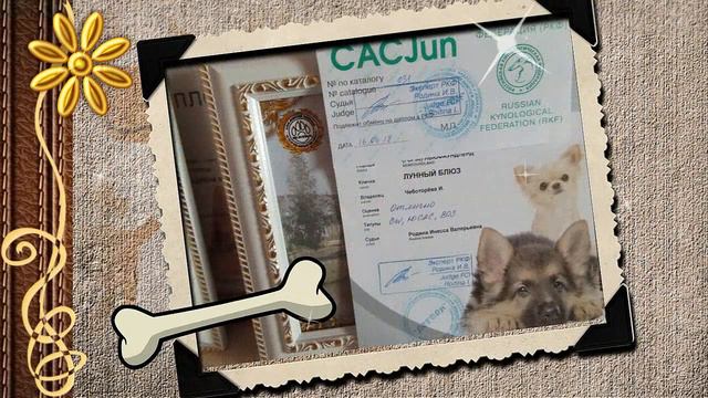 Байрону годик смотреть онлайн