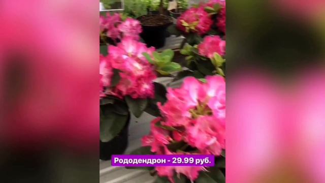 Что и почем в строительном гипермаркете "Материк"? смотреть онлайн