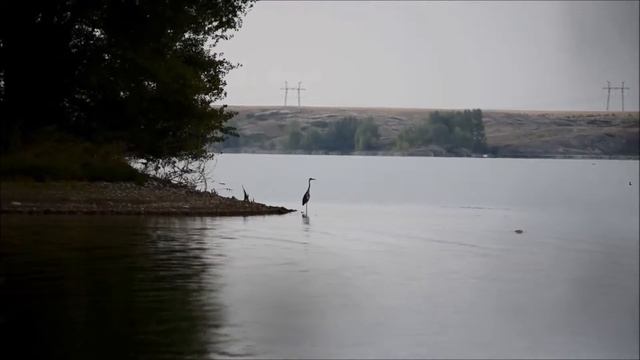 Фотоохота на Ирикле