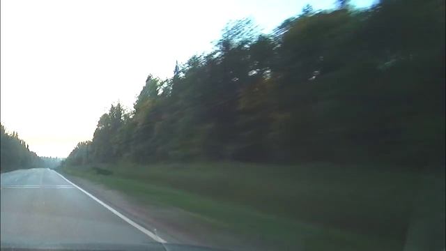 04.09.2015 Лось на Шабердинском тракте