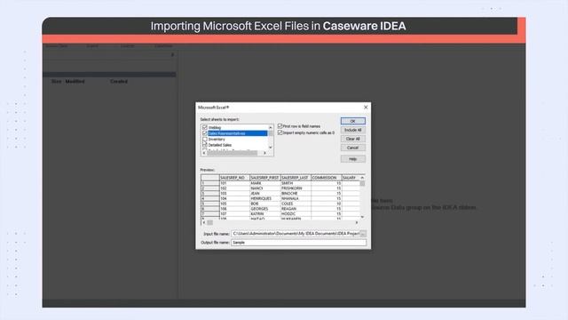 Getting started with Caseware IDEA 03- Importing Excel files смотреть онлайн