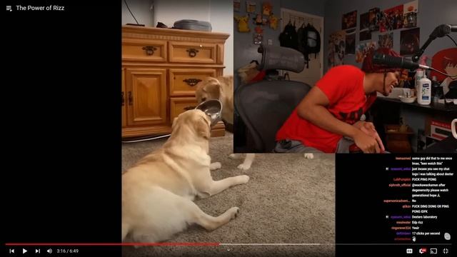 The Absolute Power Of Rizz смотреть онлайн