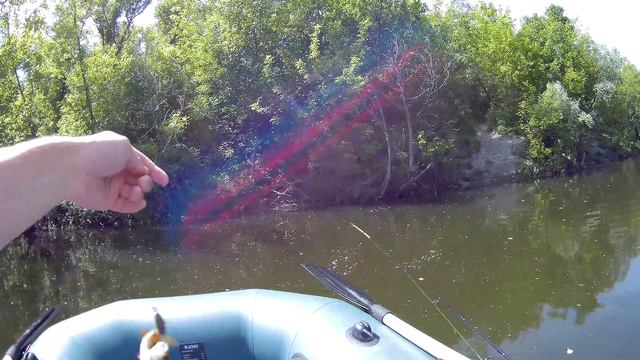 ПСЕЛ 2018. ТРОФЕЙНЫЙ ГОЛАВЛЬ. ПОЛОСАТЫЕ РАЗБОЙНИКИ И ЗАЧЕТНЫЕ ГРИБОЧКИ! смотреть онлайн