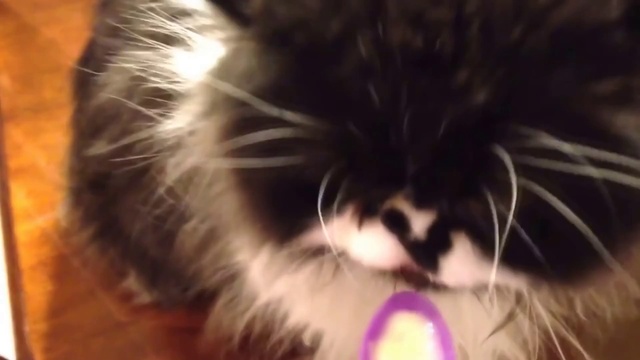 Мороженкааааааа смотреть онлайн