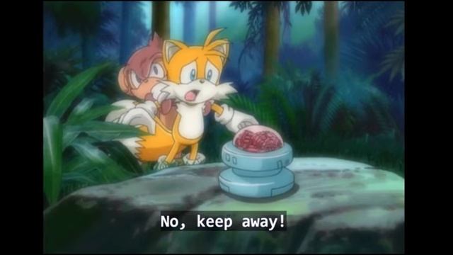 tails getting bullied in sonic x with samba de verdy смотреть онлайн
