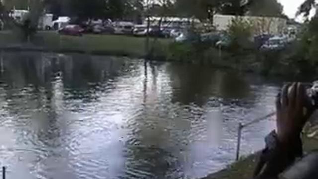 Fesselrennboote bis 300 km/h смотреть онлайн