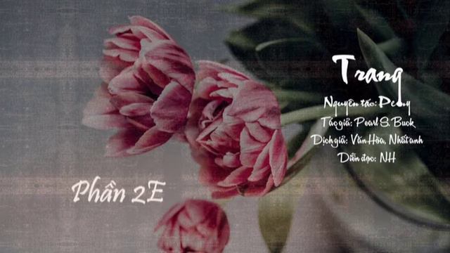Trang - Phần 2E | Peony | Pearl S. Buck | Văn Hòa, Nhất Anh | NH