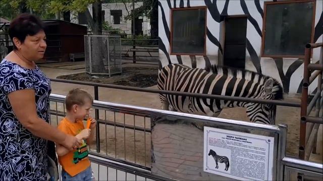 Бахчисарай. Парк миниатюр. Зоопарк. 11.09.2022г. смотреть онлайн