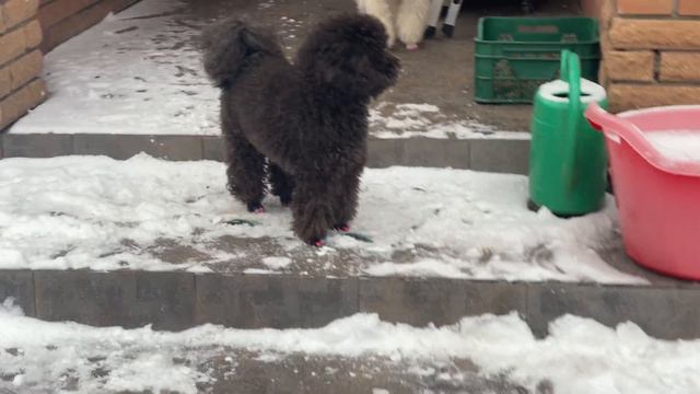 We have very good weather смотреть онлайн