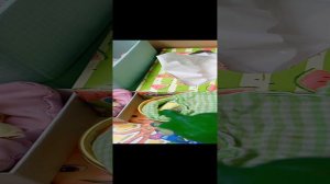 Как ухаживать за черепахой