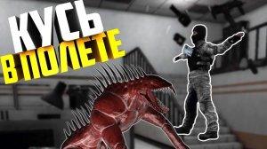 Вежливая собака предлагает кусь бесплатно | Смешные моменты SCP Secret Laboratory