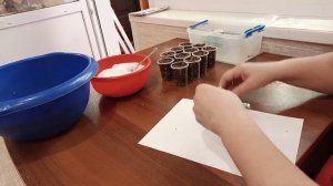 Лучший способ выращивания глоксиний из семян. Глоксиния от А до Я. Видео1. 26 февраля 2021 г.