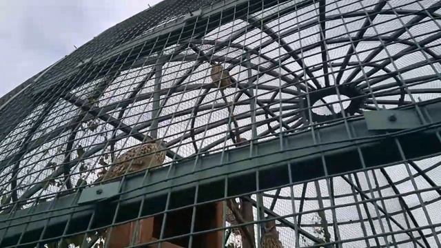 Путешествие #Удмуртия Ижевский зоопарк: совы смотреть онлайн