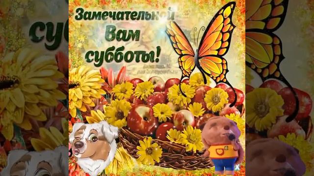 Прекрасного субботнего утра и удачного дня!