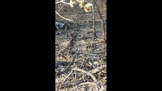 Делаем мир чище!!! смотреть онлайн