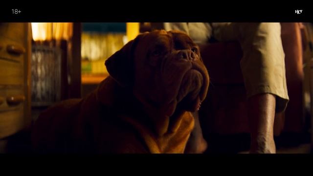 Пять безумных ролей Николаса Кейджа | ОБЗОР-НСТ