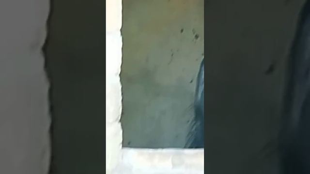 не смотреть лучше 4.09.23г смотреть онлайн