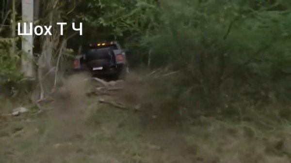 Музика хароши