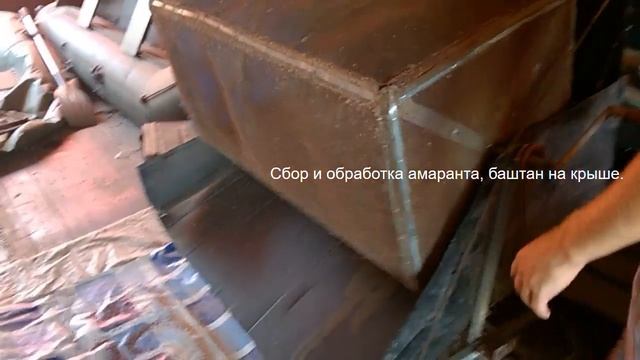 сбор урожая амаранта смотреть онлайн