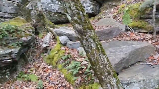 Wittenberg FruityLoop 2022 смотреть онлайн