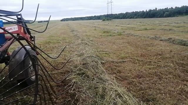 Обзор грабли-ворошилки 5 колёсный, Агролед. после 7 лет эксплуатации.Покос. Сезон 2020. смотреть онлайн