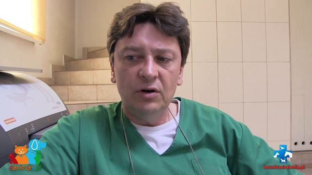 Chrapanie u psa - leczenie (eanimals.pl) смотреть онлайн