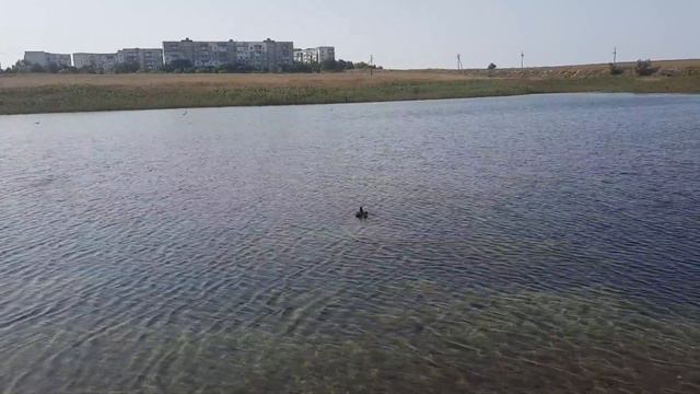 Крым. Памятка в условиях радиоактивного загрязнения. В Донузлаве утонул человек смотреть онлайн