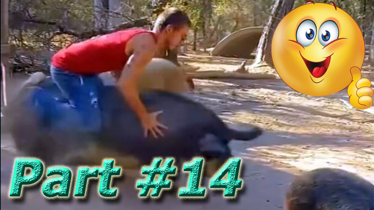 Лучшие Смешные Видео Март 2024 года. Part #14 #funny #funnyvideo #humor #new