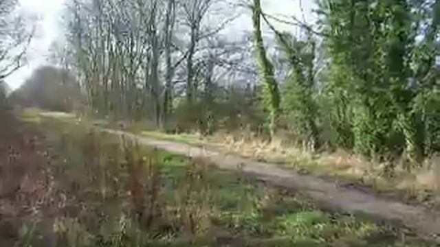 Suzuki RM 80 Flatout смотреть онлайн