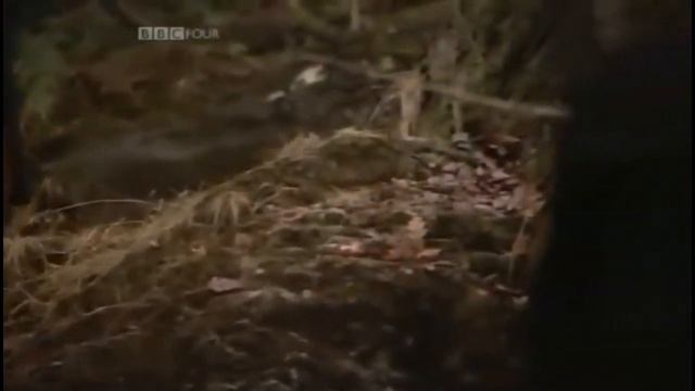 The Pre-Raphaelites: Victorian Revolutionaries, Desperate Romantics [720p] смотреть онлайн