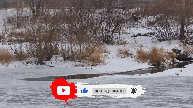 Прогулка пенсионера(2). Нижний Тагил. 17.11.2021 год (4к) смотреть онлайн