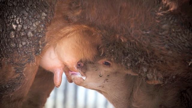 Molten Sky Media :: Lakeview Holidays Promo Video смотреть онлайн