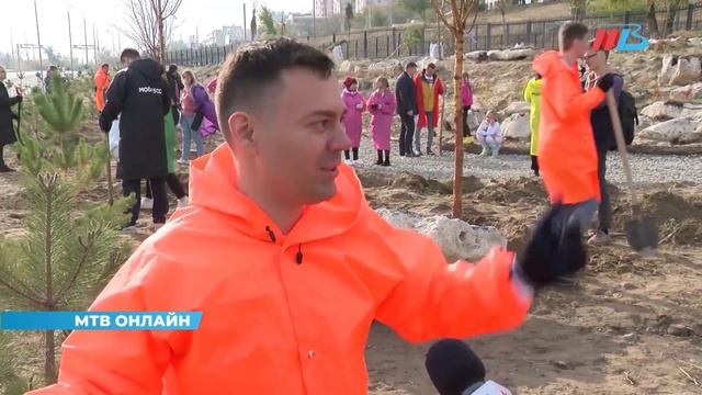 Бизнесмен из Москвы создает в Волгограде уникальный эко-парк смотреть онлайн
