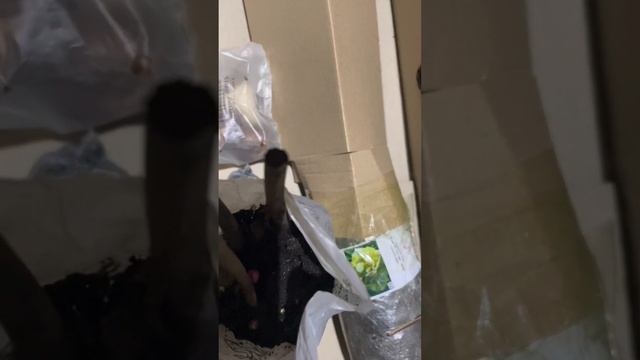 Відгук АгроМаркет( отзыв) смотреть онлайн