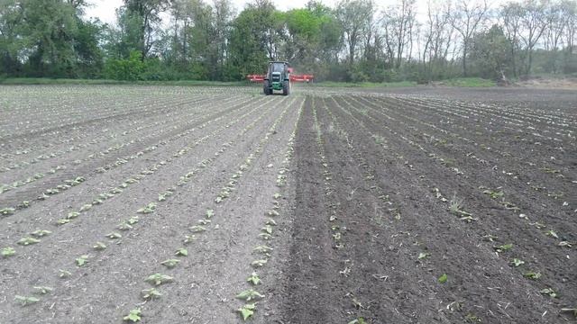 Роторный культиватор. Ротационная борона. ROTARYSTAR From EINBÖCK Work In Ukraine