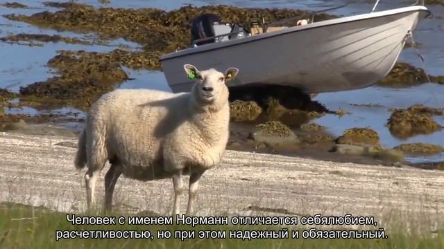 Значение имени Норманн. Толкование, судьба, характер смотреть онлайн