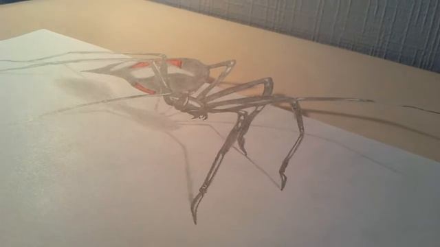 3D РИСУНКИ. ПАУК смотреть онлайн