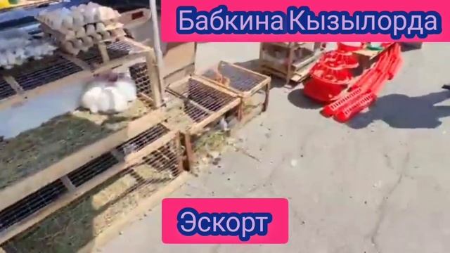 Бабка Захер и трах дебидох смотреть онлайн