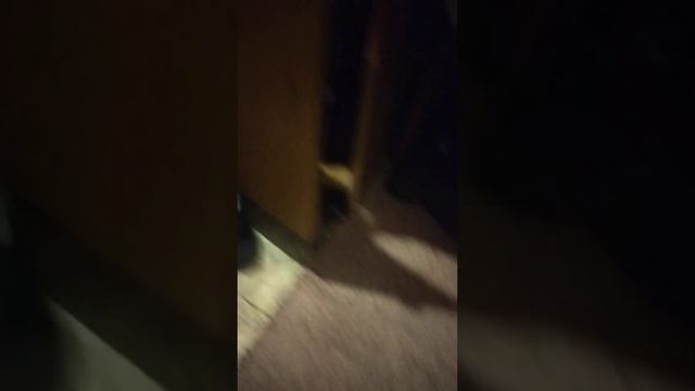 я в свои 11 лет играю в игрушки но они мне нравятся смотреть онлайн