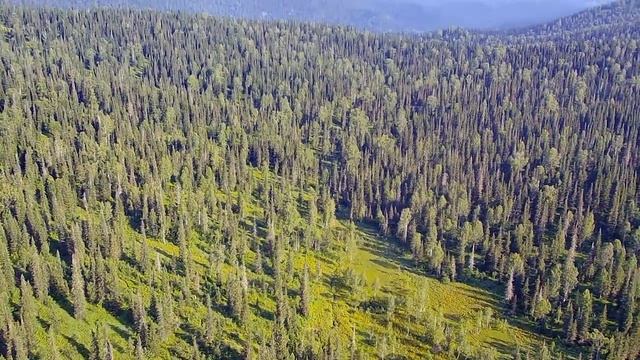 Утро на приюте Снежный Барс. Поднебесные Зубья. Кузнецкий Алатау. Виды с высоты птичьего полета. смотреть онлайн