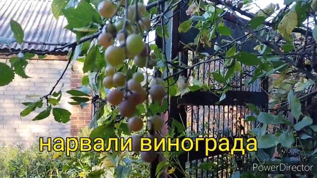 Славянск.11.10.23. С утра не знаешь,чем закончится день. смотреть онлайн