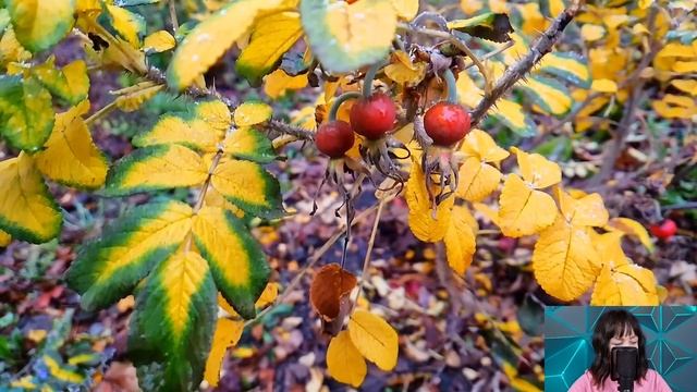 Вернувшись из роддома, Лиза застыла на месте, когда вошла в квартиру. Такого сюрприза она не ждала. смотреть онлайн