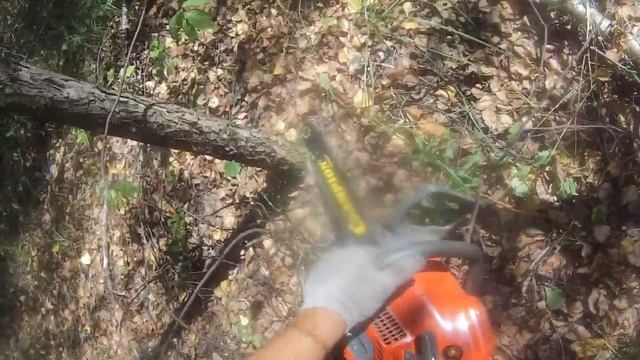 Husqvarna 130 спустя 2 Месяца Работы в Лесу, ОТЗЫВ, Впечатления.