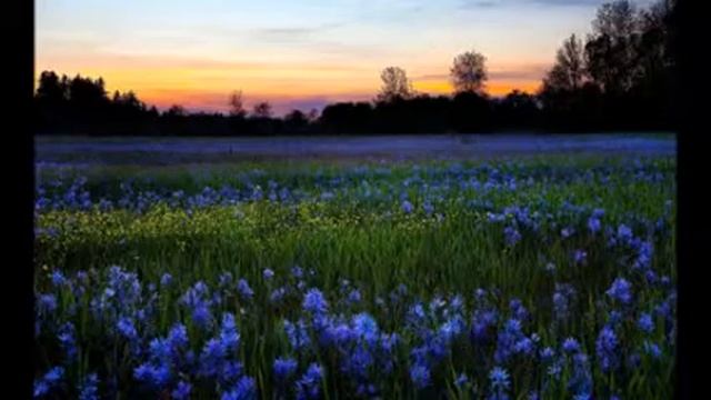 Майя Розова - Я люблю смотреть онлайн