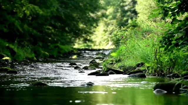 Мелодия без слов для фона смотреть онлайн