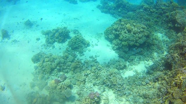 Египет, сентяьрь 21 смотреть онлайн