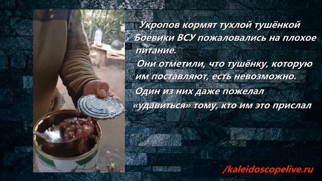 Укропов кормят тухлой тушёнкой смотреть онлайн