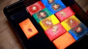 Аулофорус быстрое разведение и небольшие хитрости.