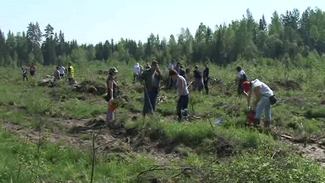 Всероссийский день посадки леса смотреть онлайн